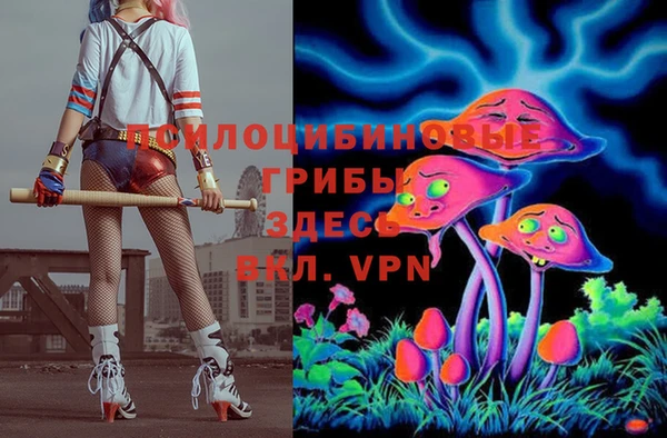 гашик Няндома