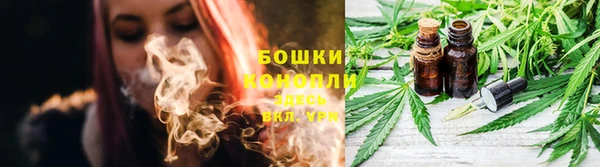 спиды Новокубанск