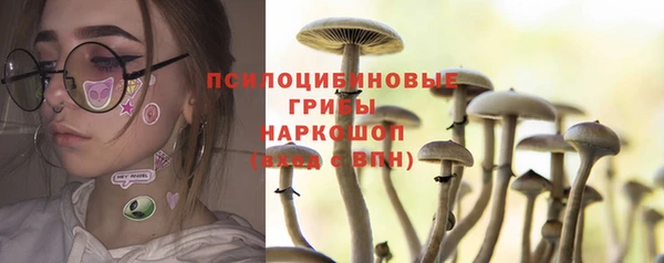амфетамин Новодвинск
