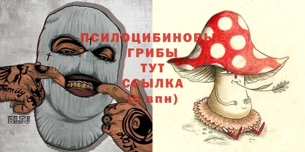 амфетамин Новодвинск