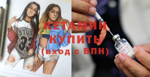 гашик Няндома